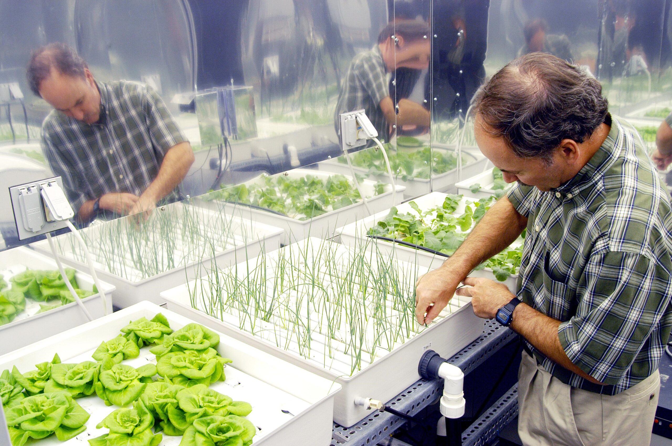 What is Hydroponic Gardening?